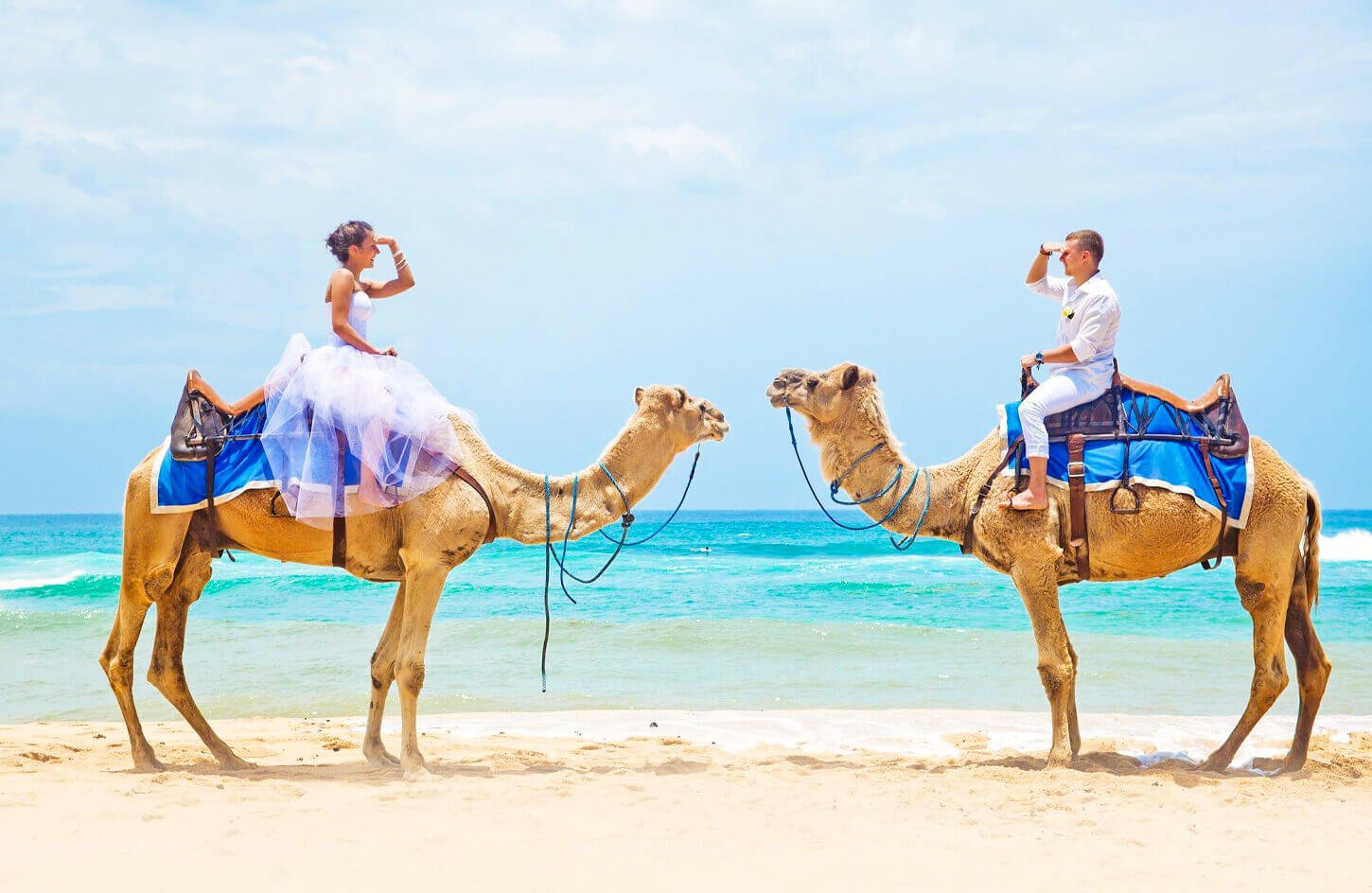 A Foto De Una Pareja Cabalgando Camellos De Una De Las Playa De Hurghadas