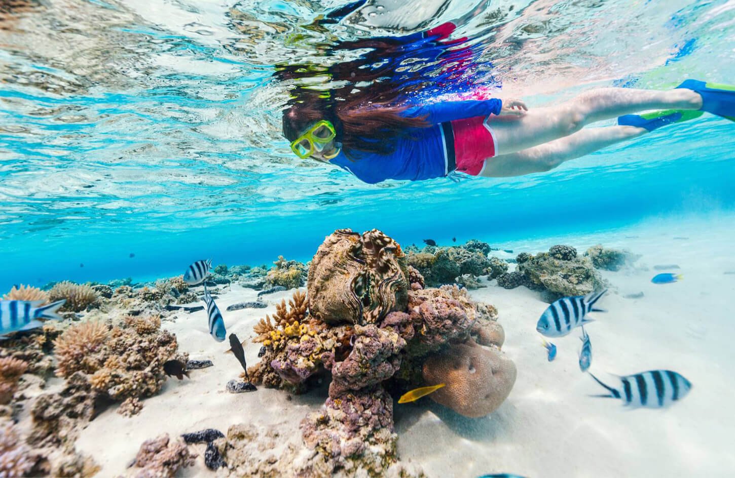 Bella Imagen De Una Mujer En Un Viaje De Buceo