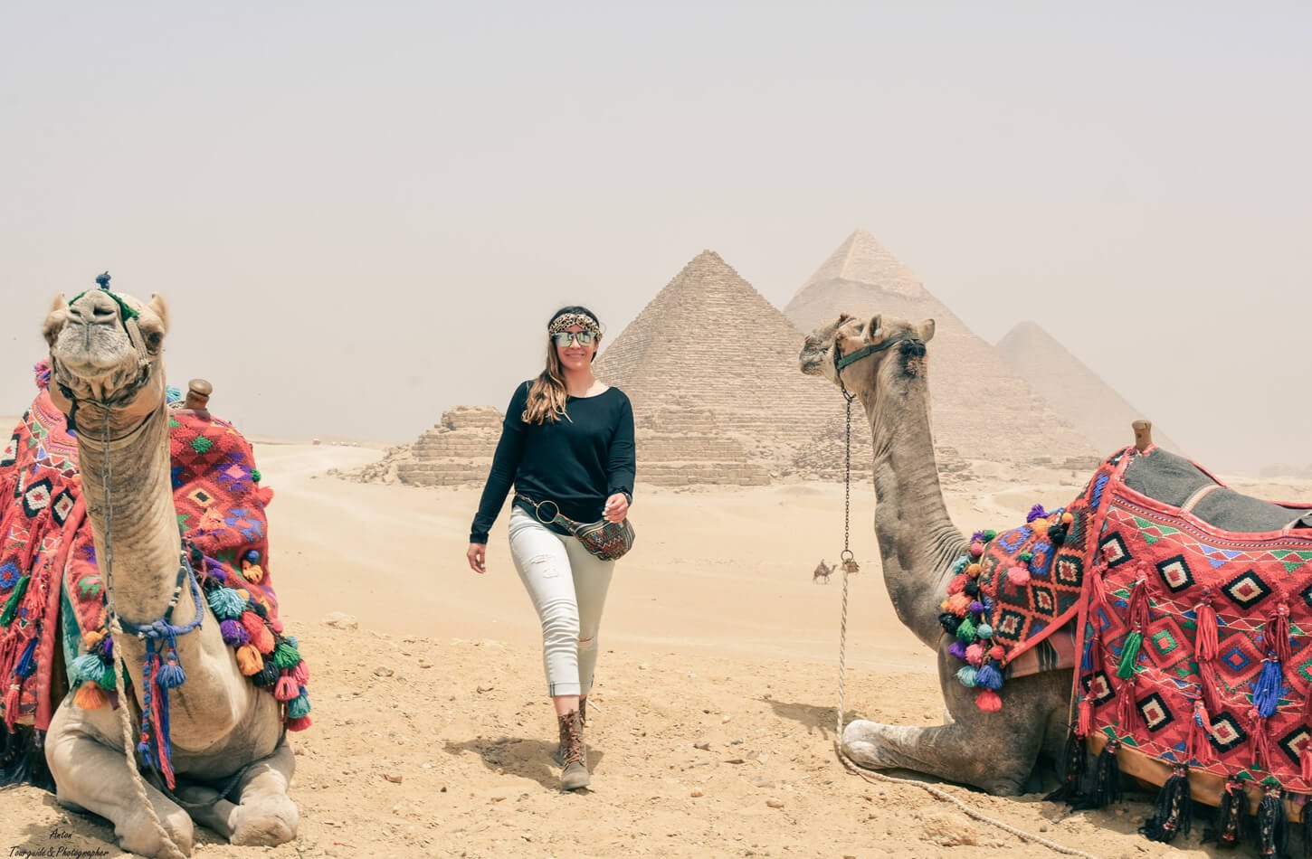 Maravillosa Imagen De Una Mujer Con Un Camello En Las Piramides De Giza