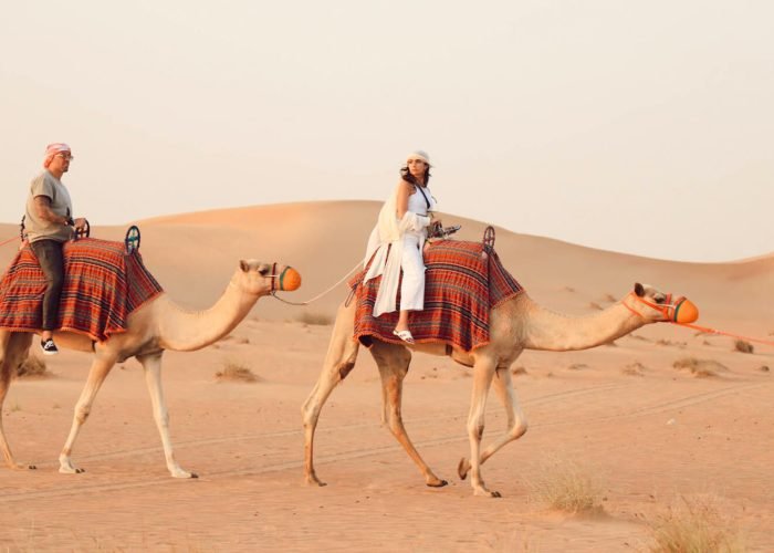 Una Gran Foto De Algunos Turistas Montando Camellos En Un Safari En Hurghada