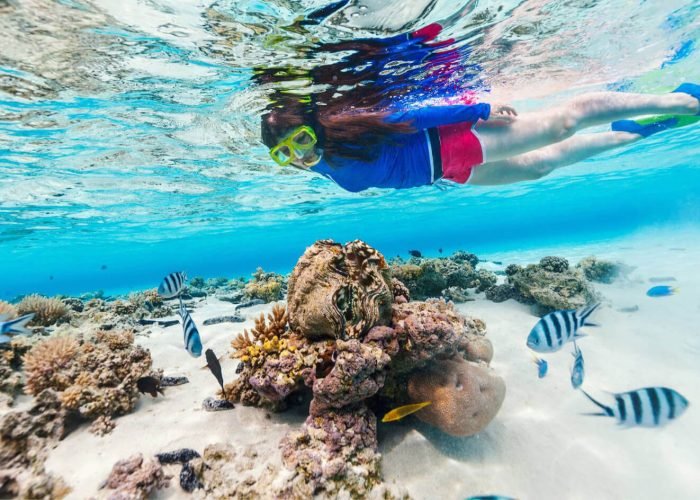 Bella Imagen De Una Mujer En Un Viaje De Buceo