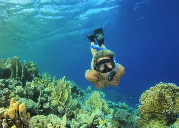 Gran Foto De Un Turista En Un Viaje De Buceo