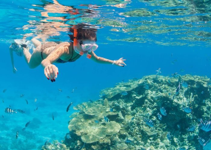 Magnifica Foto De Una Hermosa Mujer Nadando En Sharm Elnaqah