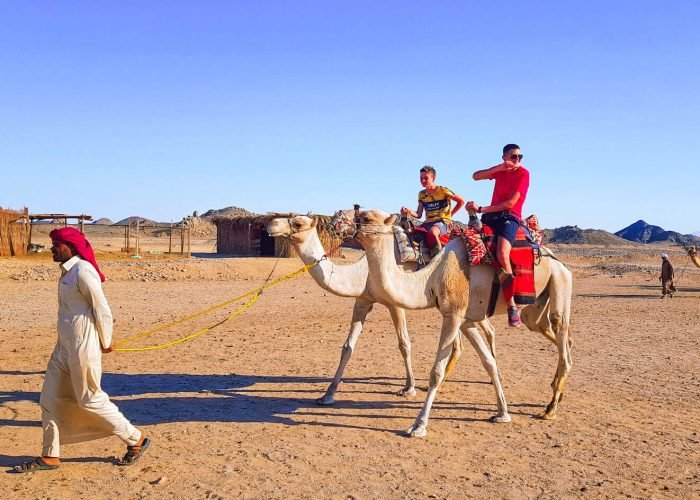 Una Maravillosa Imagen Del Safari Con Camellos En Hurghada
